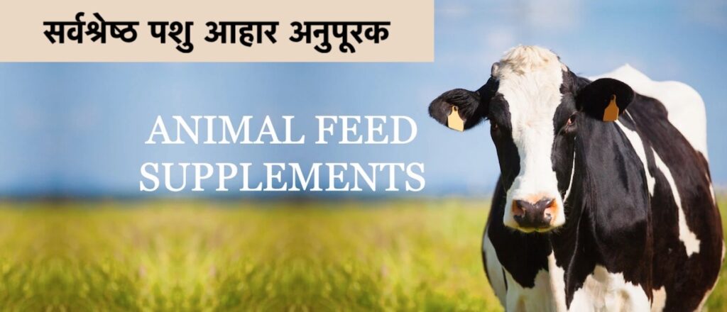 best animal feed supplements