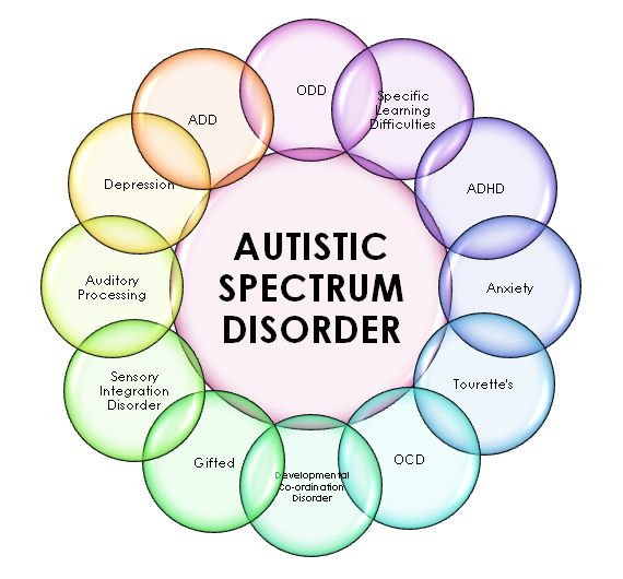 Exploring Holistic Approaches to Autism Treatment: Beyond Behavioral Therapy