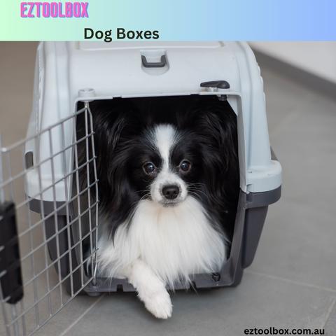 Dog boxes