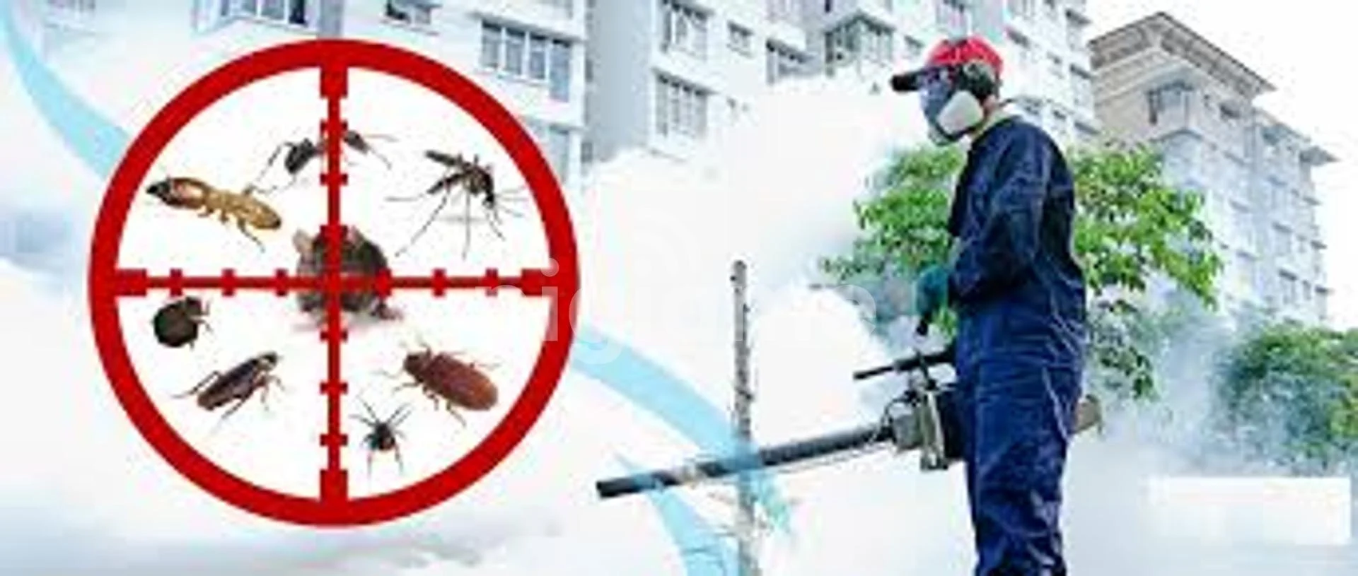 Fumigation Services in Islamabad and Pest Control Service