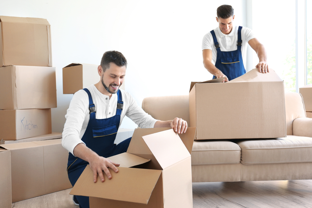 Movers and Packers in Dubai 
