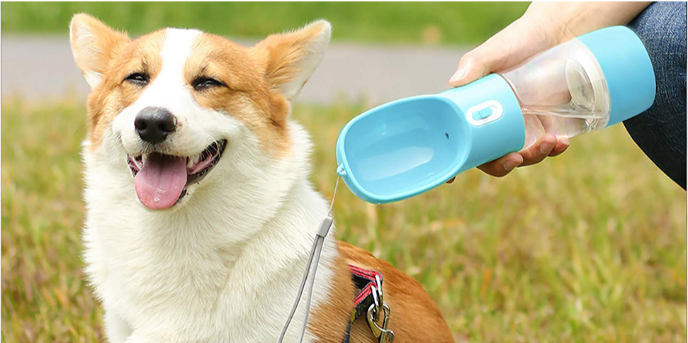 Pet Feeding Bottle Bowl