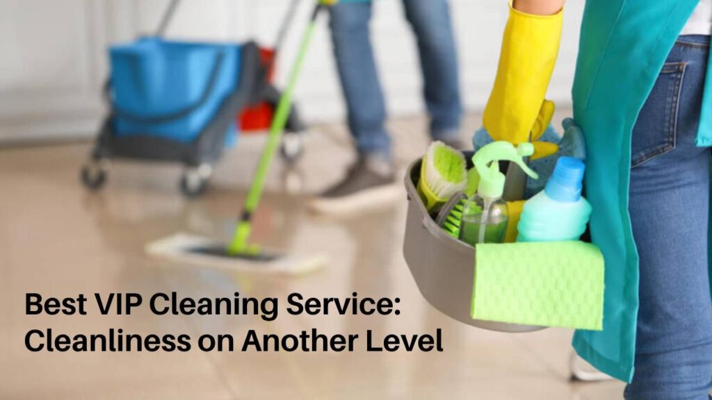 Best VIP Cleaning Service Cleanliness on Another Level