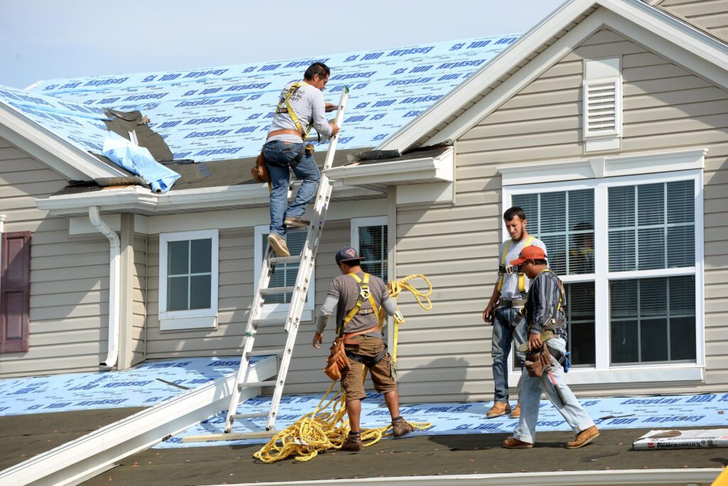 Roofing renovation service