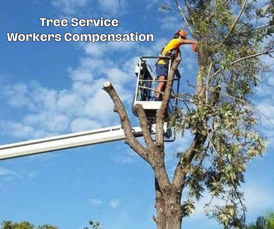 Tree Service Workers Compensation Insurance