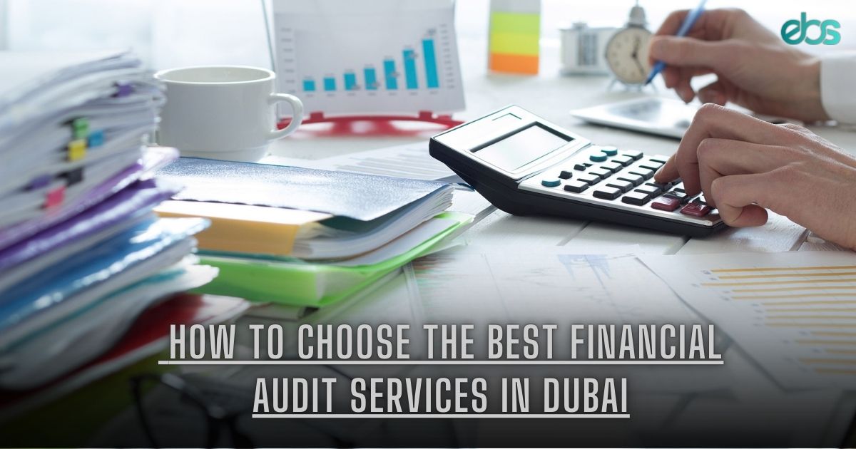 Financial Audit Services in Dubai