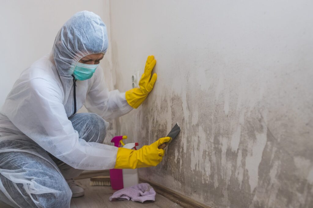 How To Remove Mold From Sheetrock Walls?