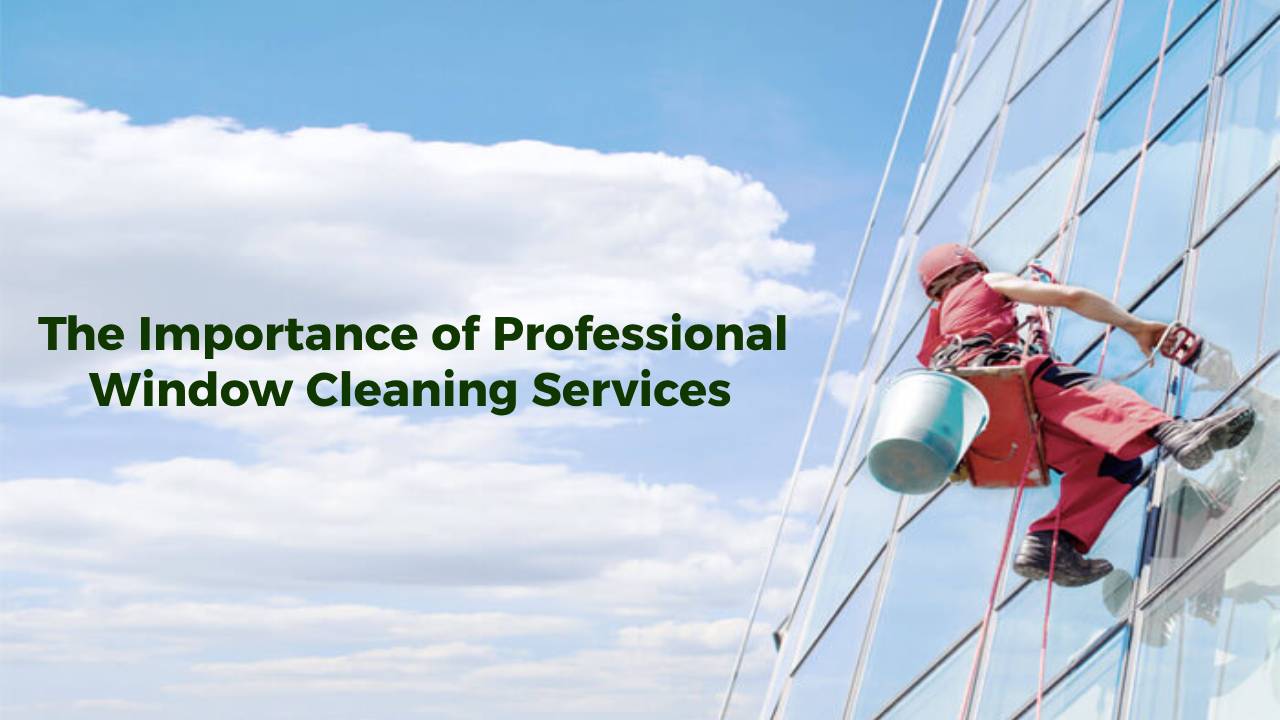 The Importance of Professional Window Cleaning Services