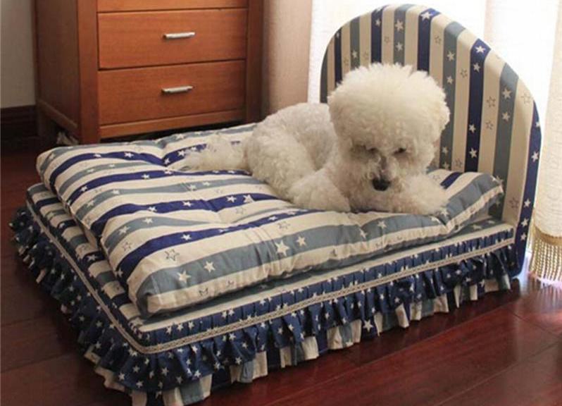 How to Choose the Right Bed for Your Pet’s Comfort