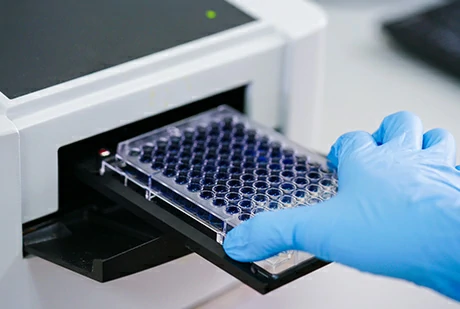 Animal-Derived DNA Residue Assay Kits