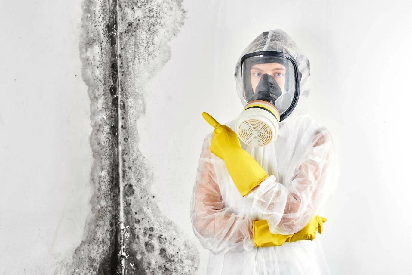 mold remediation experts in Tacoma WA