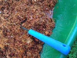 Why Coconut Coir Mulch is a Game Changer for Community Gardens?