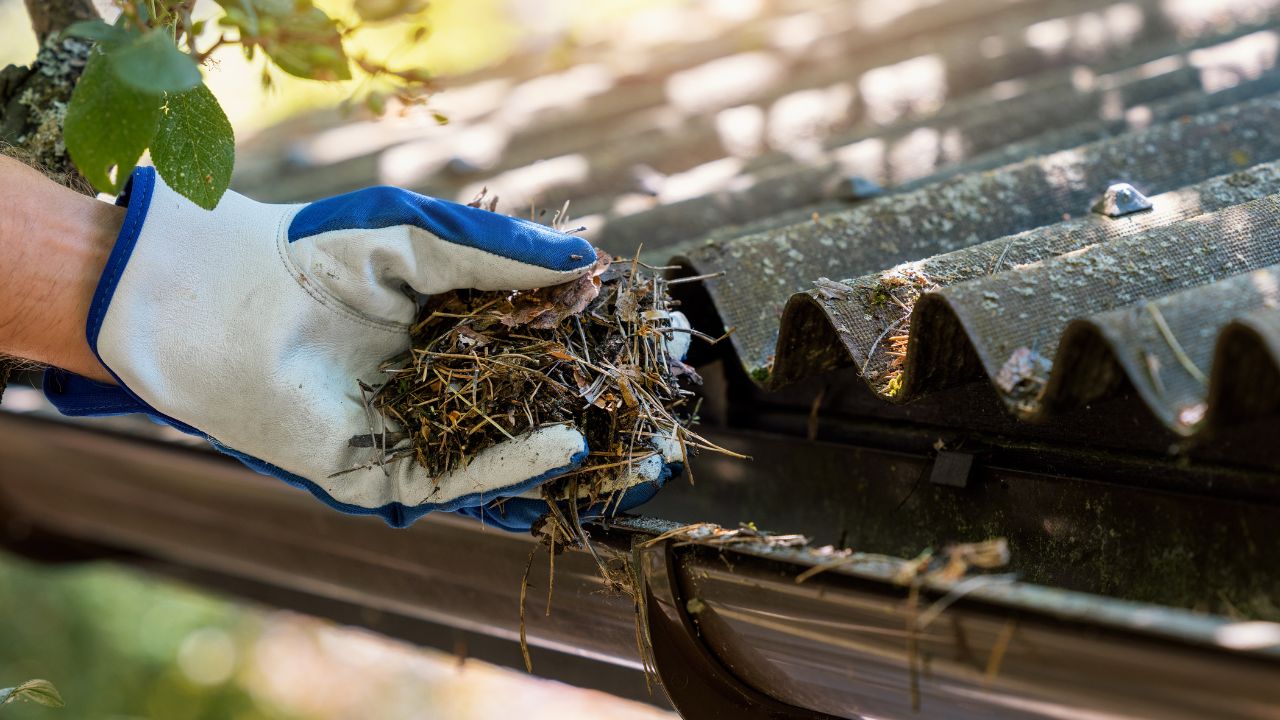 Gutter Cleaning Service in Brooklyn