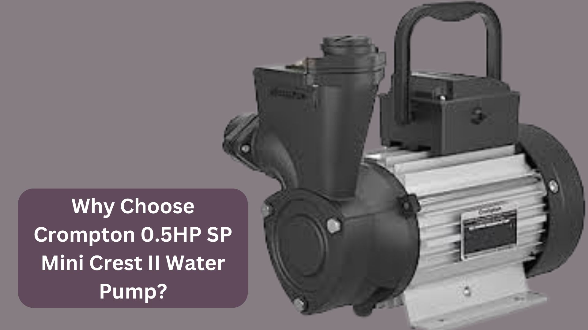 Why Choose Crompton 0.5HP SP Mini Crest II Water Pump