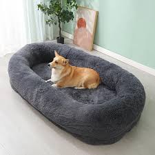 pet bed