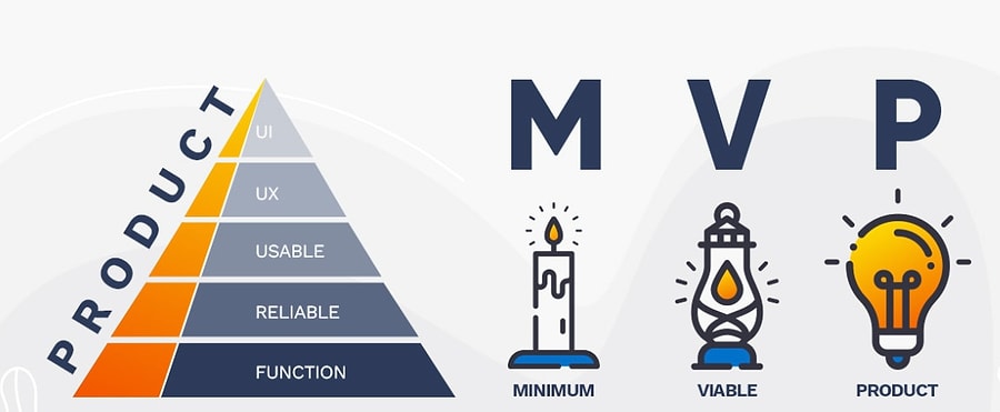 Role of MVP