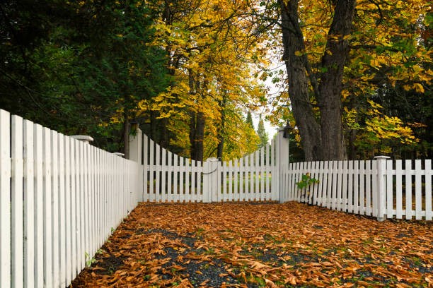 Fencing Contractors Near Me in Chestertown