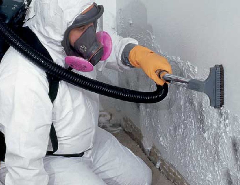 mold removal jefferson city