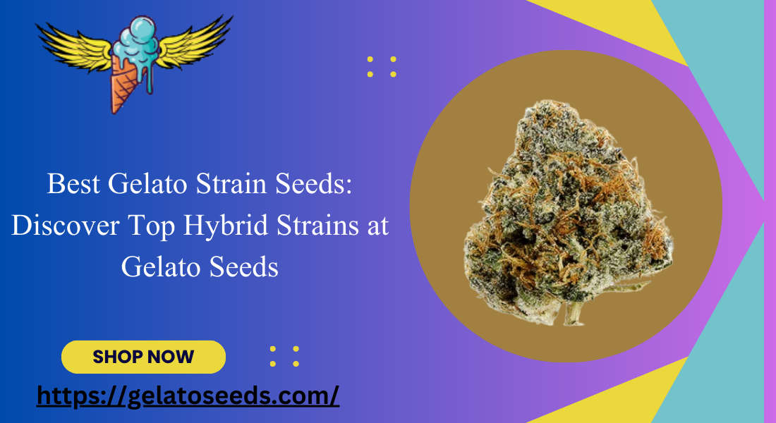 best gelato strain seeds