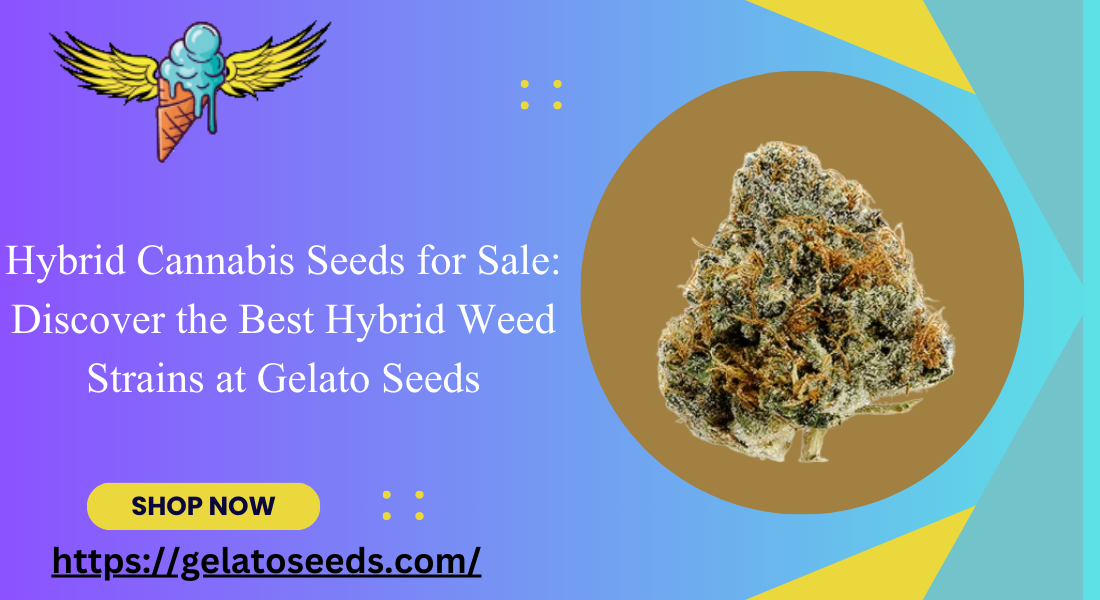 hybrid cannabis seeds