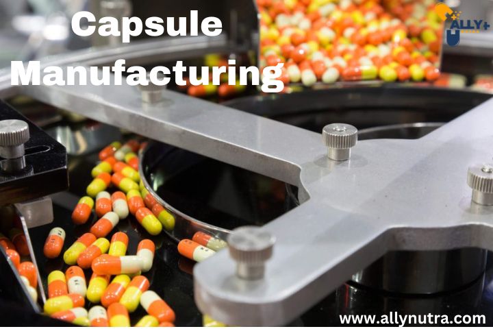 capsule manufacturing