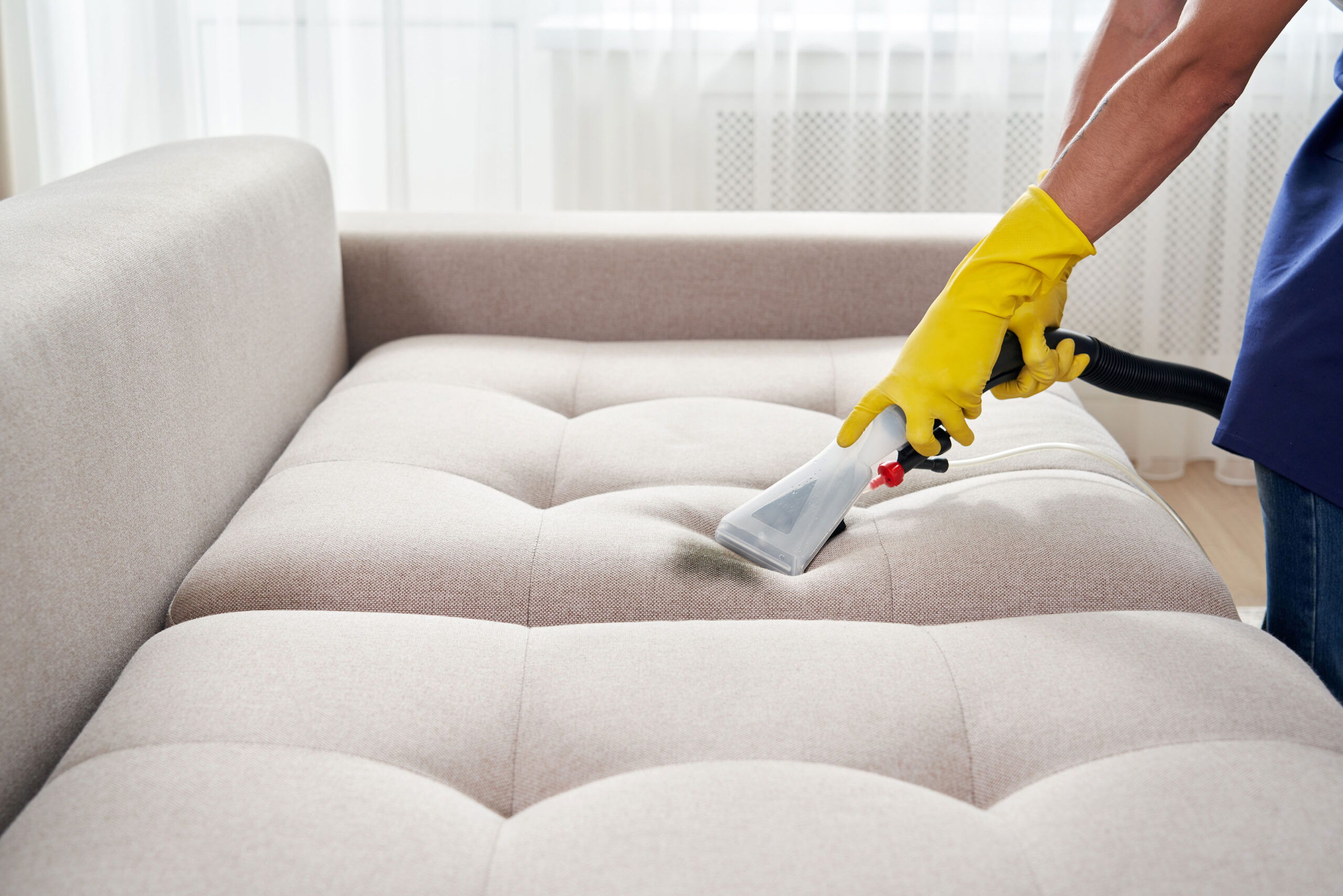 Couch Cleaning Berwick